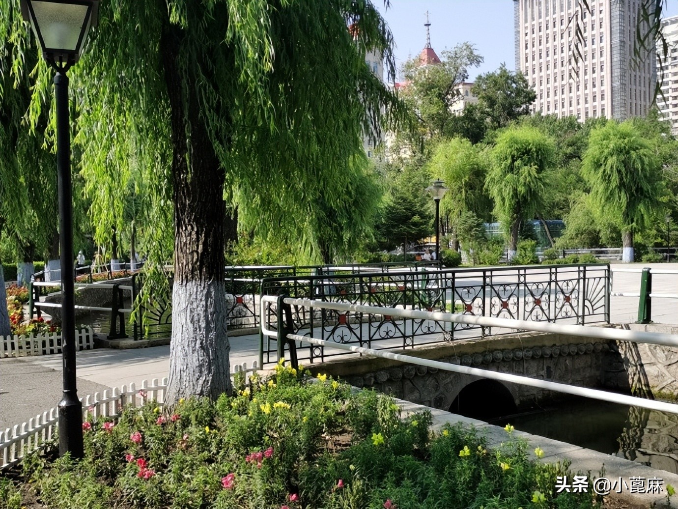 哈尔滨兆麟公园门票免费吗,哈尔滨兆麟公园老照片