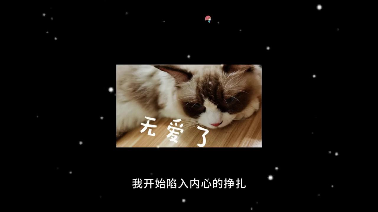 今日话题：婚后我爱上了我老公的哥哥怎么办？#情感