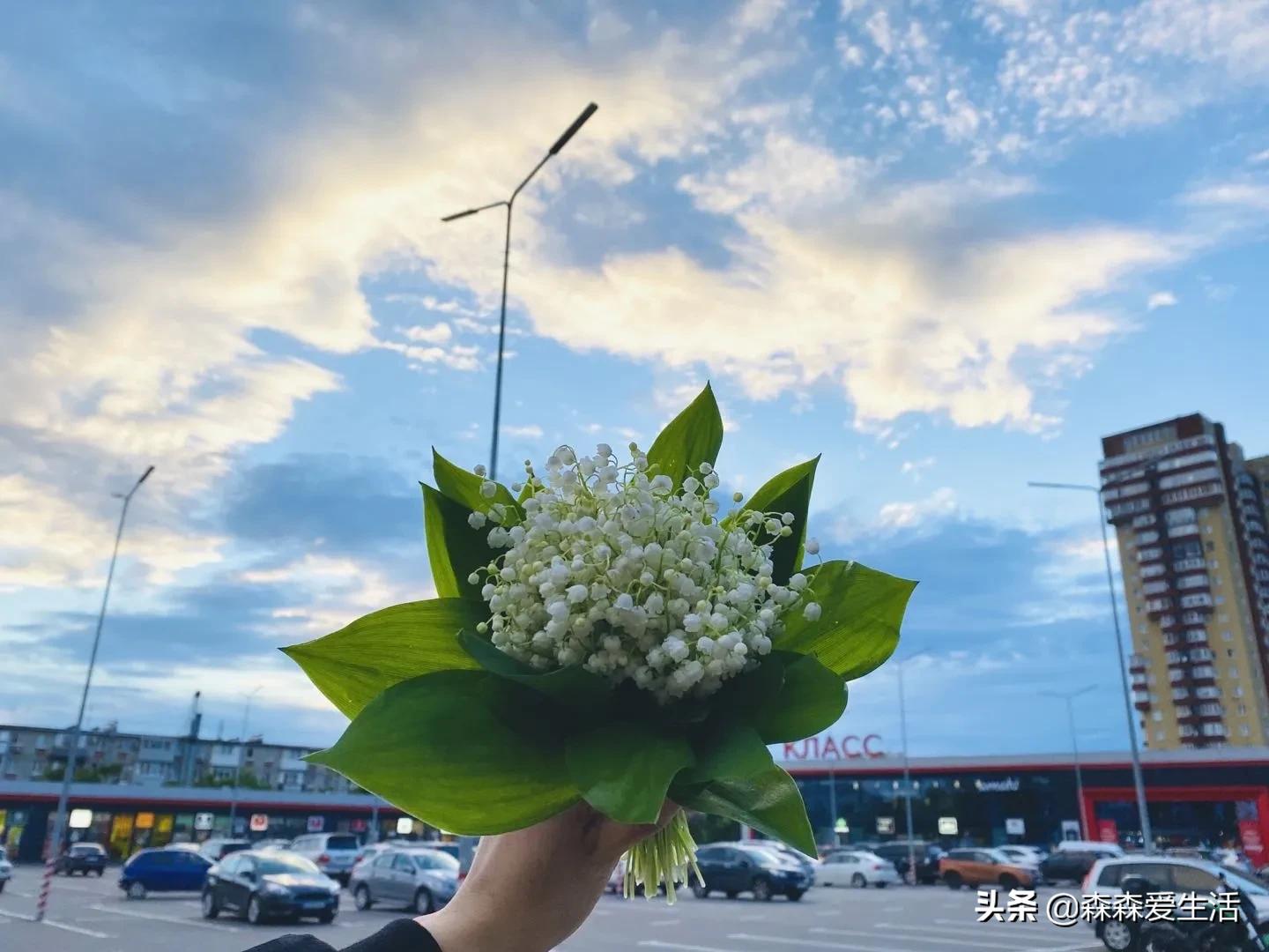 看留学生乌克兰逃难历险记录,别火化我,我还活着