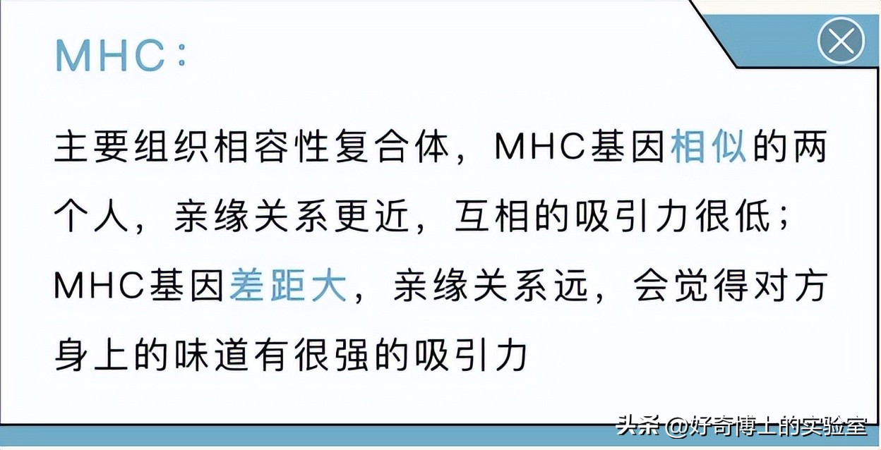 为什么女的化妆品有香香的味道,为啥女生的化妆品都有一个味道