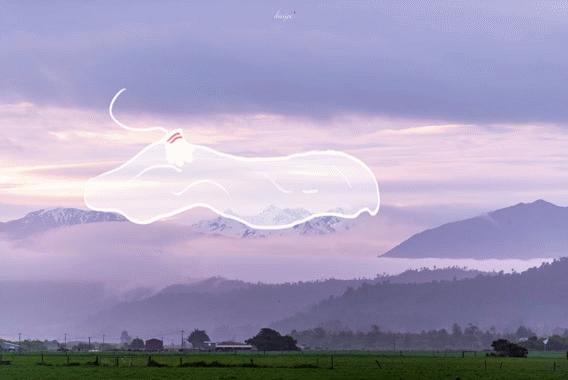 新西兰美得让人窒息的风景,新西兰的风景真的是太美了