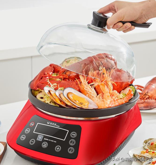 臻米极速电蒸锅好用吗,极速蒸锅304