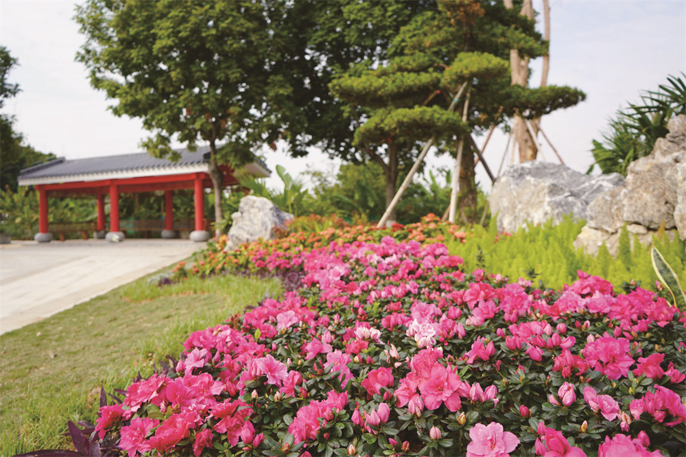 东莞麻涌城市更新规划,东莞麻涌地标性建筑