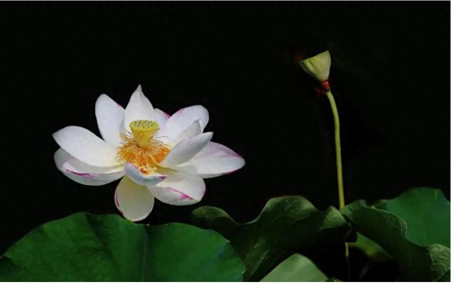 公元前和公元交替是哪个朝代,公元前与公元后的分界是哪个朝代