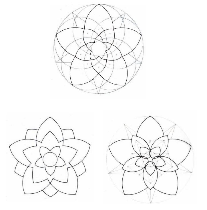 几何之花2：圆的内部分裂
