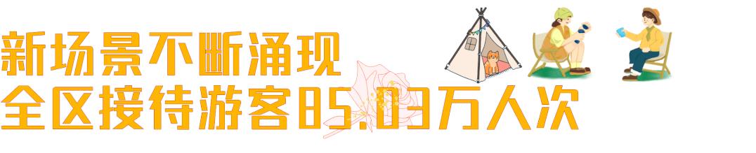 五一温江有什么活动,五一来温江