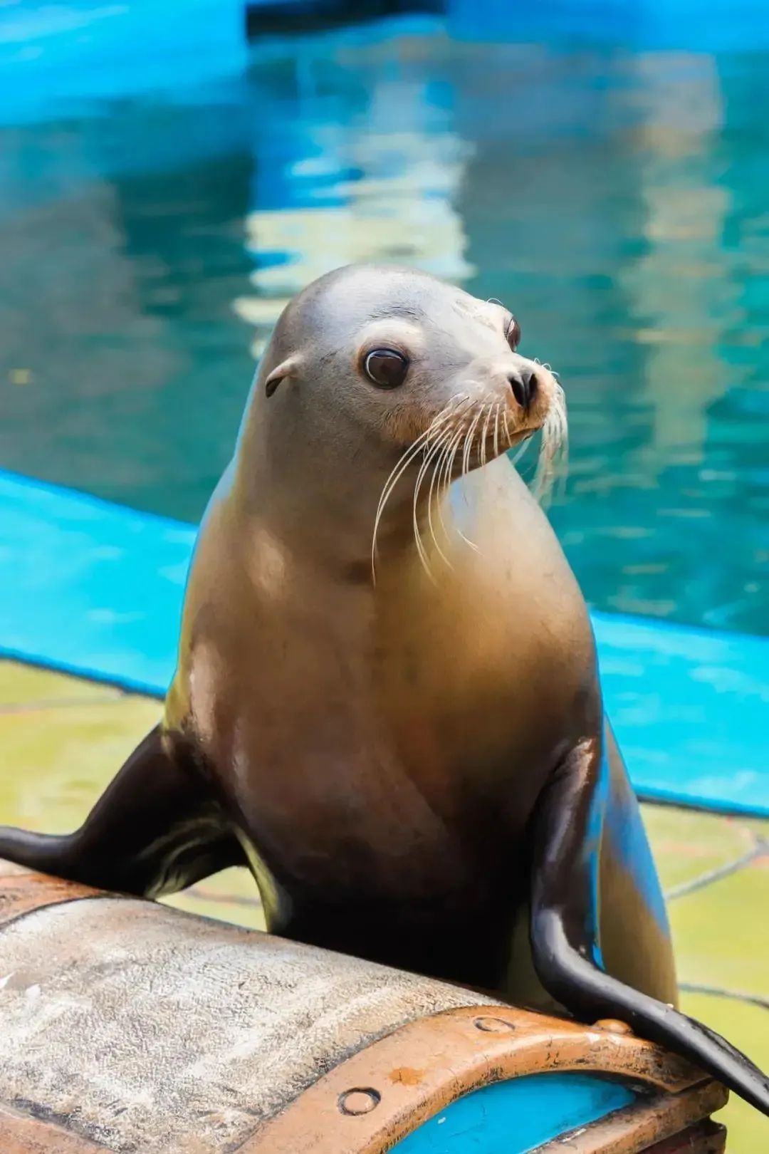 大连旅游攻略3天2夜住宿,大连旅游攻略视频