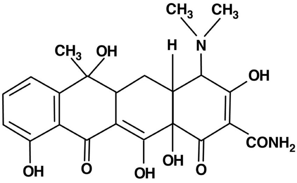 从化工厂到超级药厂，辉瑞是如何成为全球第一大药厂的？
