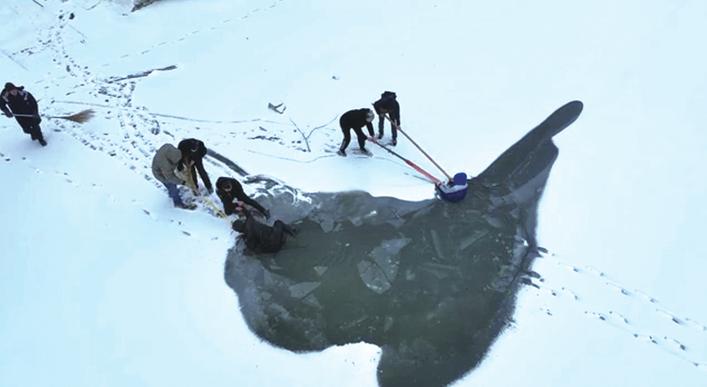 救人的小伙被找到,救人的白衣大哥找到了吗