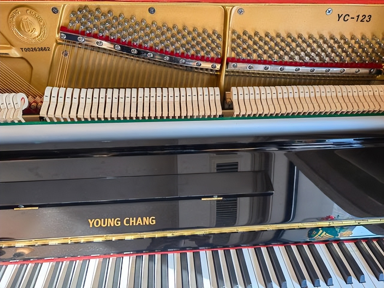 绍兴购买钢琴哪家好,绍兴买钢琴