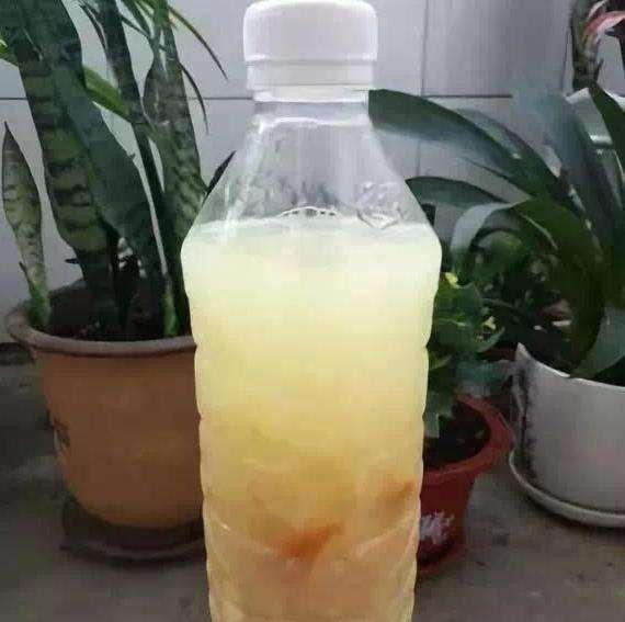 盆土粘稠能少浇水吗,盆土硬如石用什么泡水