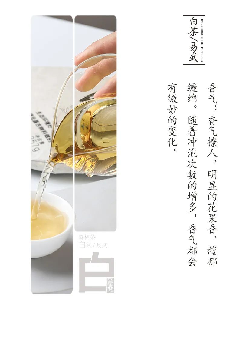 最好的易武好茶,易武茶的前世今生