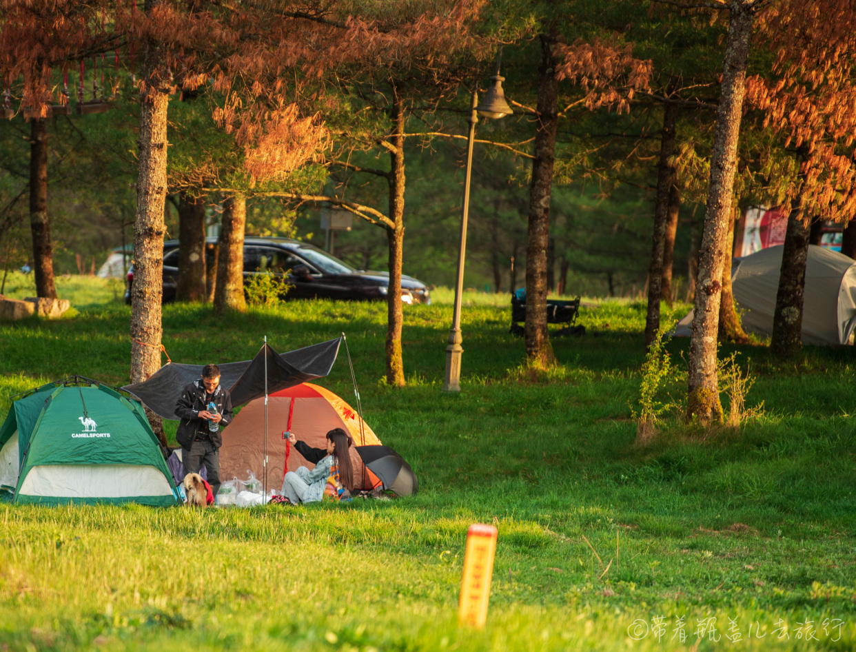 巫溪红叶自驾游,巫溪红池坝云中花海景点讲解