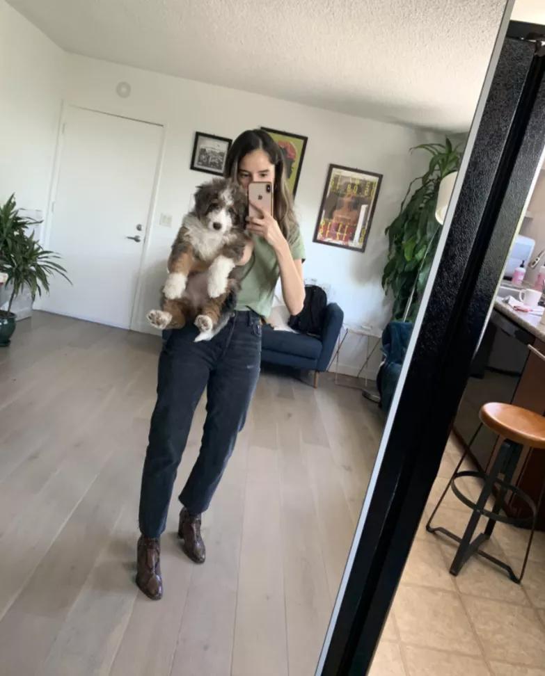 小黄狗长大的过程,小黄狗长大过程