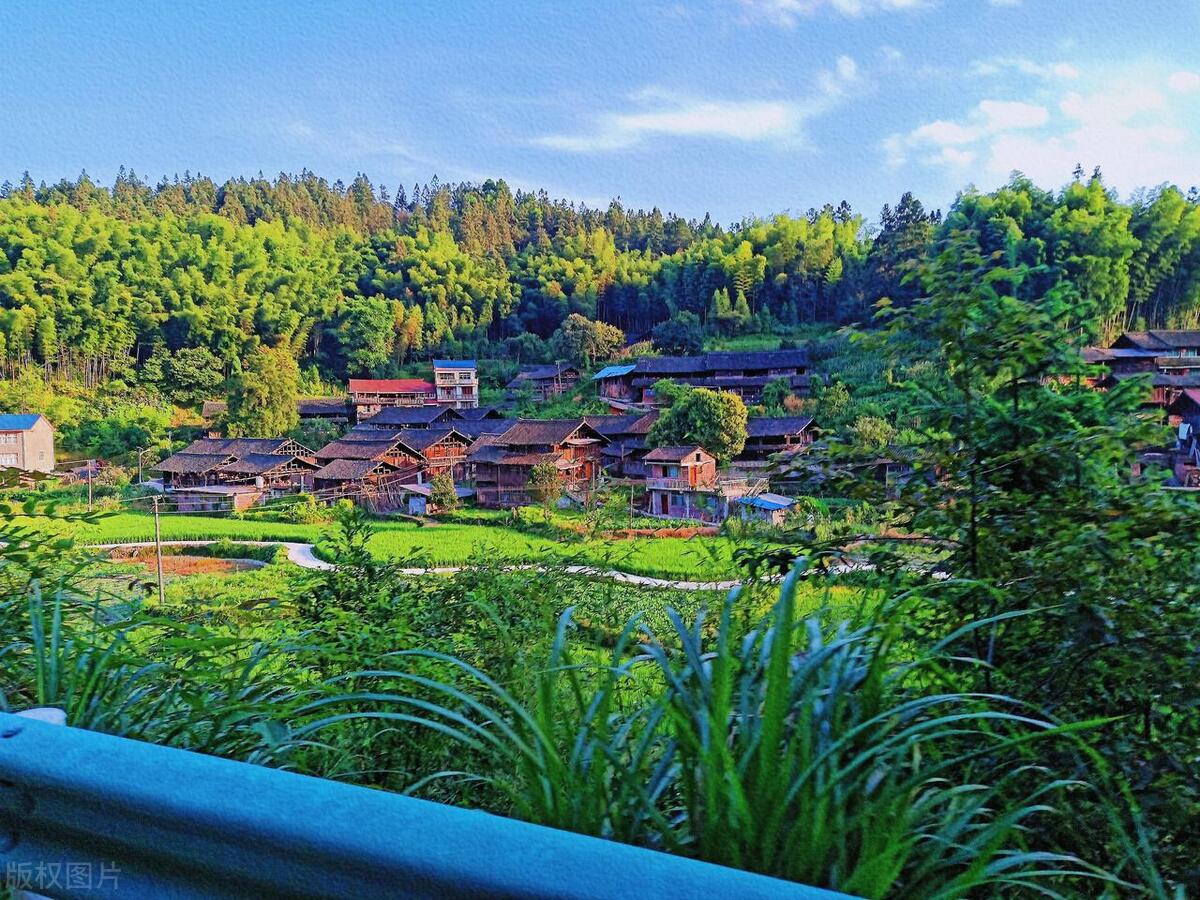 猪来穷狗来富猫来盖白布啥意思,猫来盖白布是什么意思