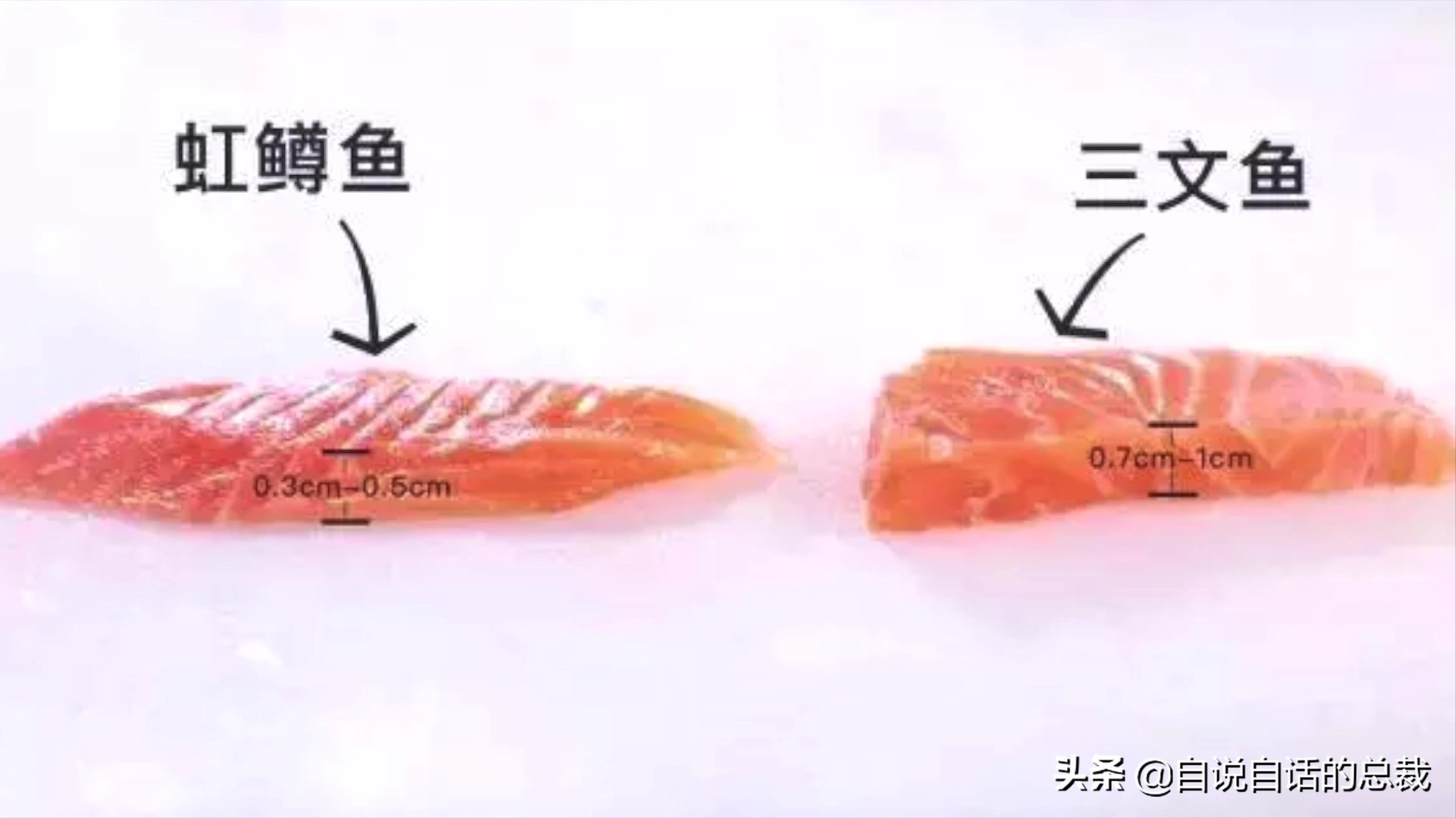 三文鱼水光真假分辨,哪种才是真正的三文鱼
