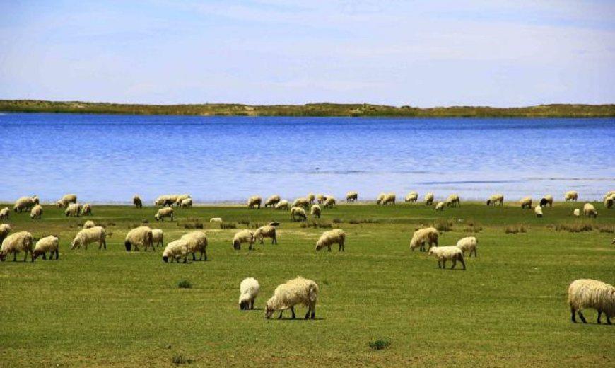 艳哉此雏，谁氏子也？