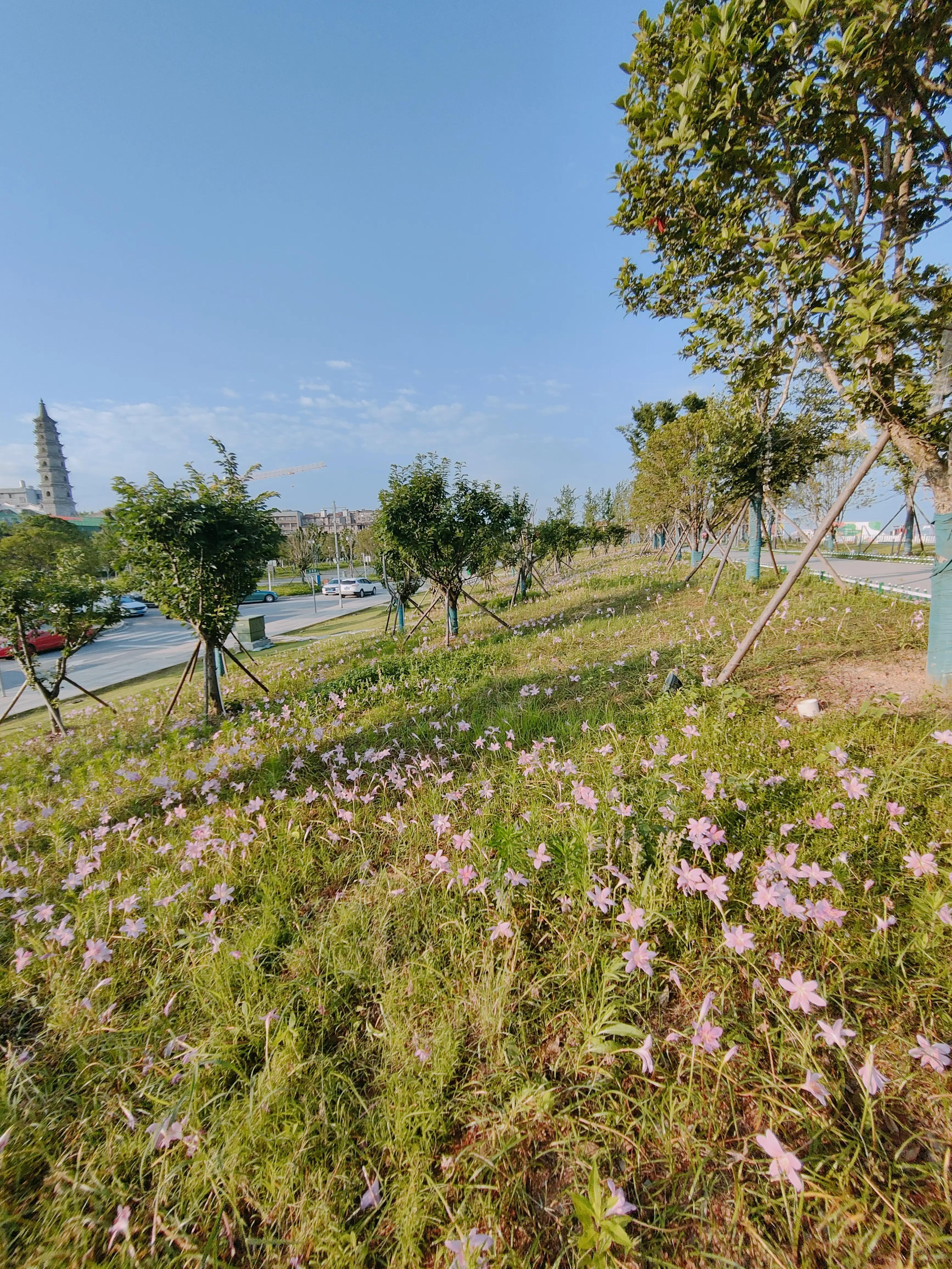 岳阳楼记,岳阳游记600字