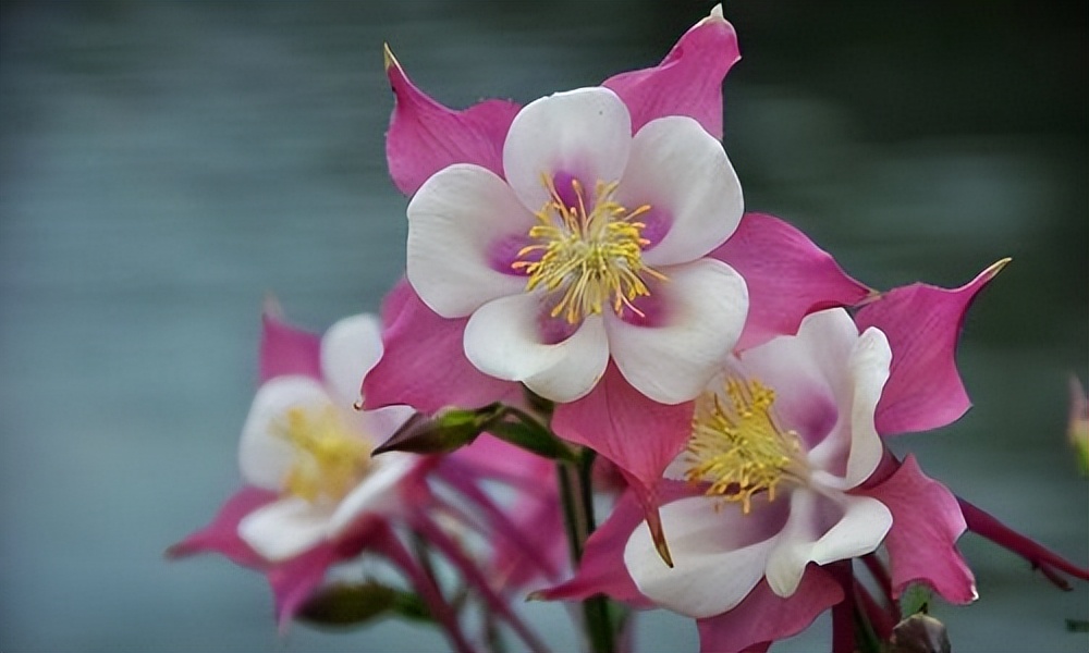 一个女人喜欢你一定要知道这些,想要一个女人持续的喜欢你