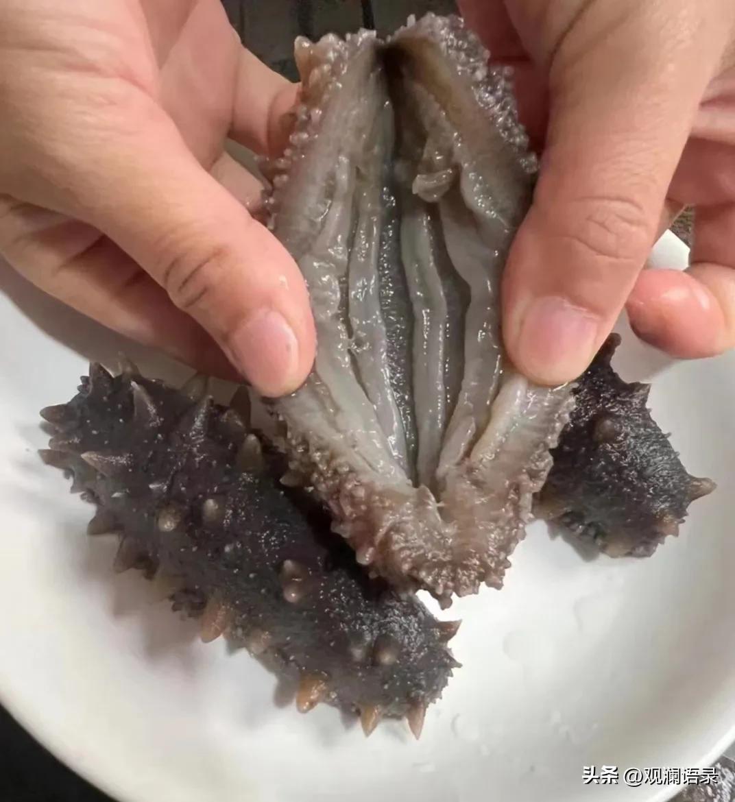 海参吃法家常做法视频,海参6种简单的家常吃法