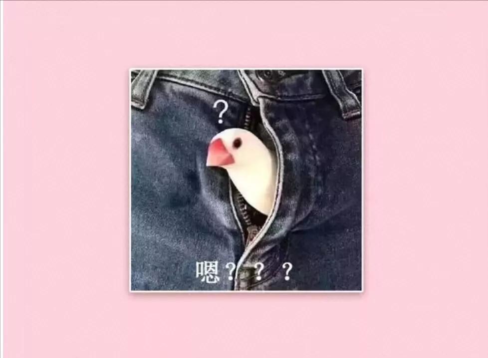 割完包皮的男人,男性割完包皮