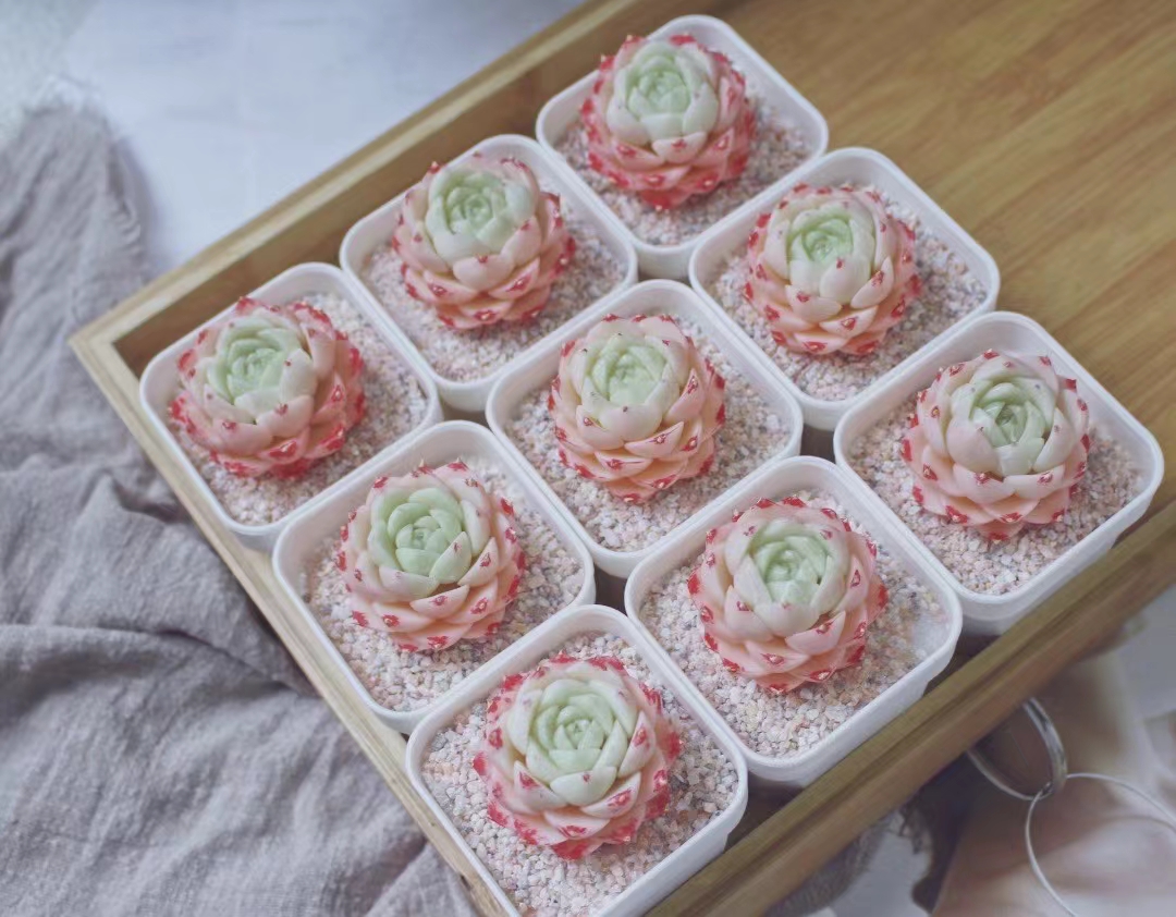 DIY树脂黏土丨通透有质感，仿真还轻薄，它的魅力远超你的想象