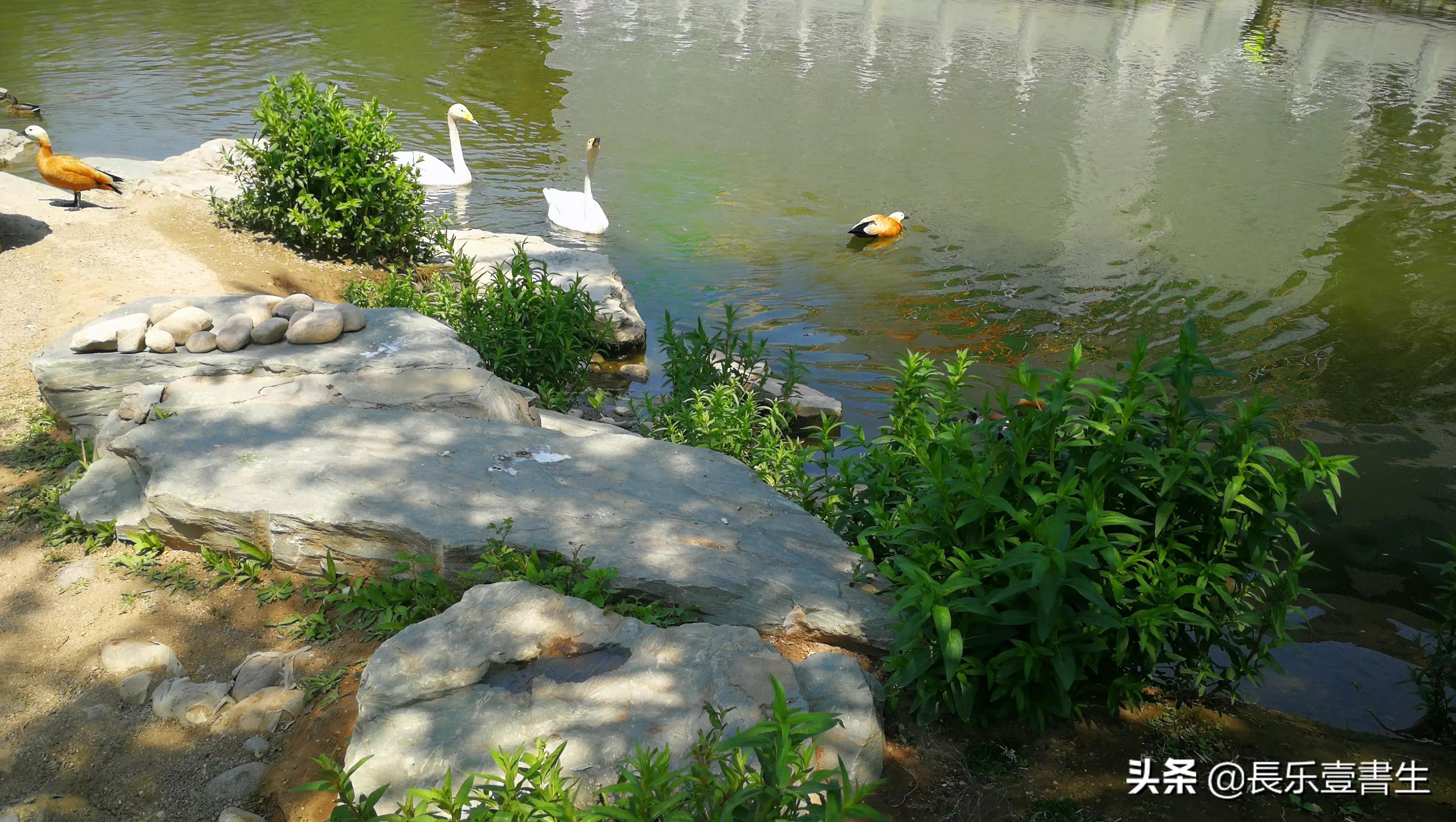 中国园林博物馆游览时间表,小众游玩强烈推荐北京园林博物馆