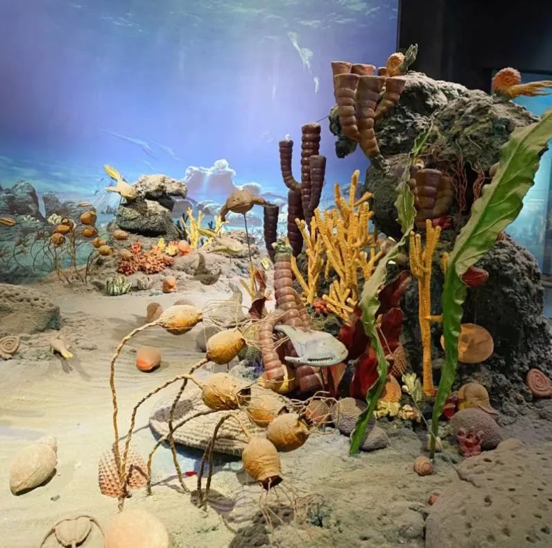 天津遛娃好地方,天津遛娃的免费公园