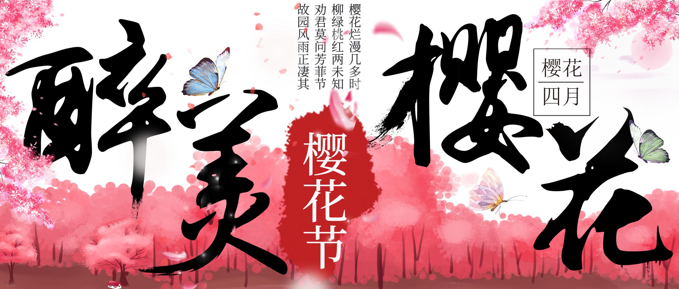 浪漫樱花的季节,满树烂漫樱花