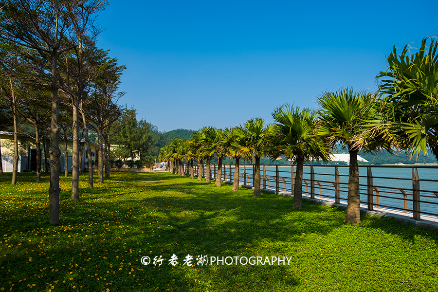 澳门可游泳的沙滩,澳门黑沙滩露营地
