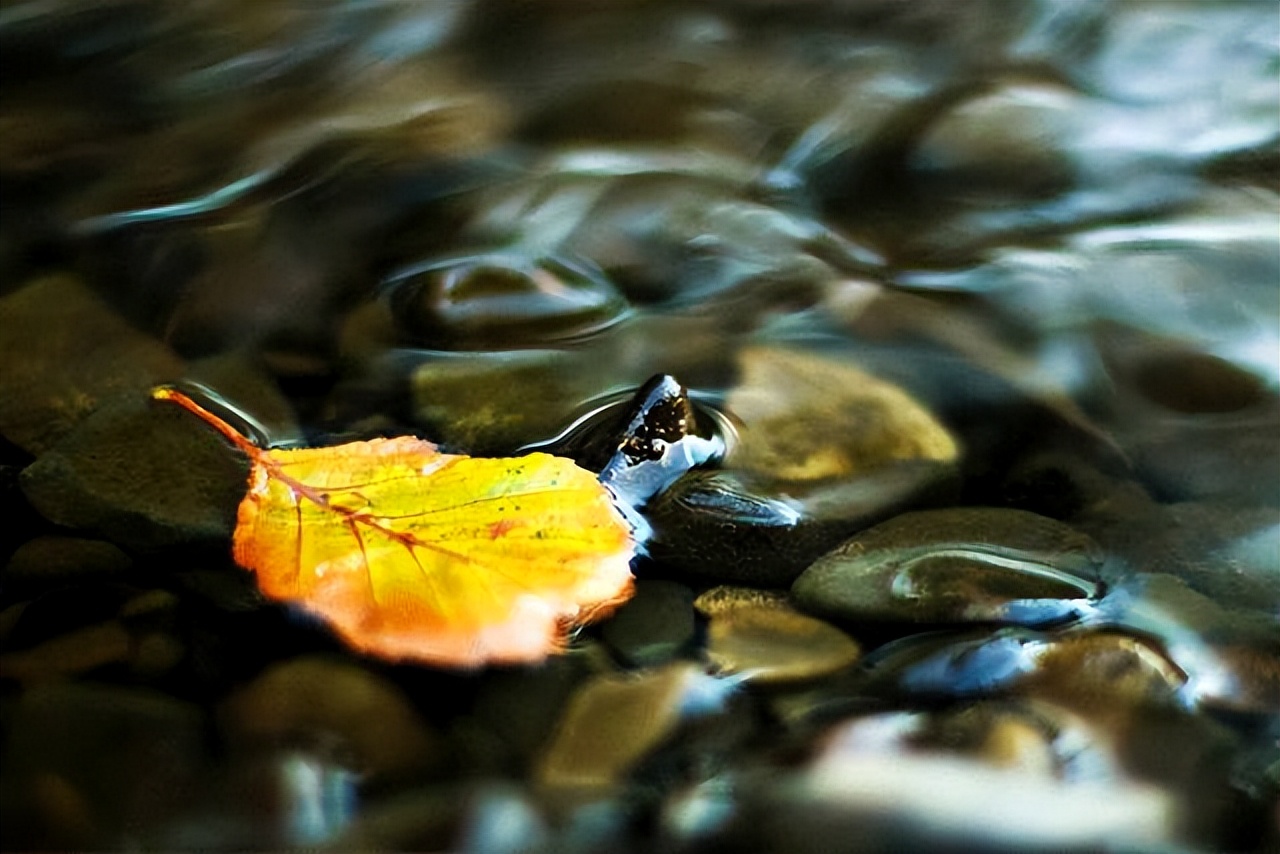 中国的五行太厉害了,中国为什么叫中国五行