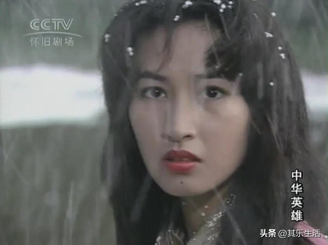 何家劲版中华英雄1-42集电视剧,何家劲版中华英雄续集