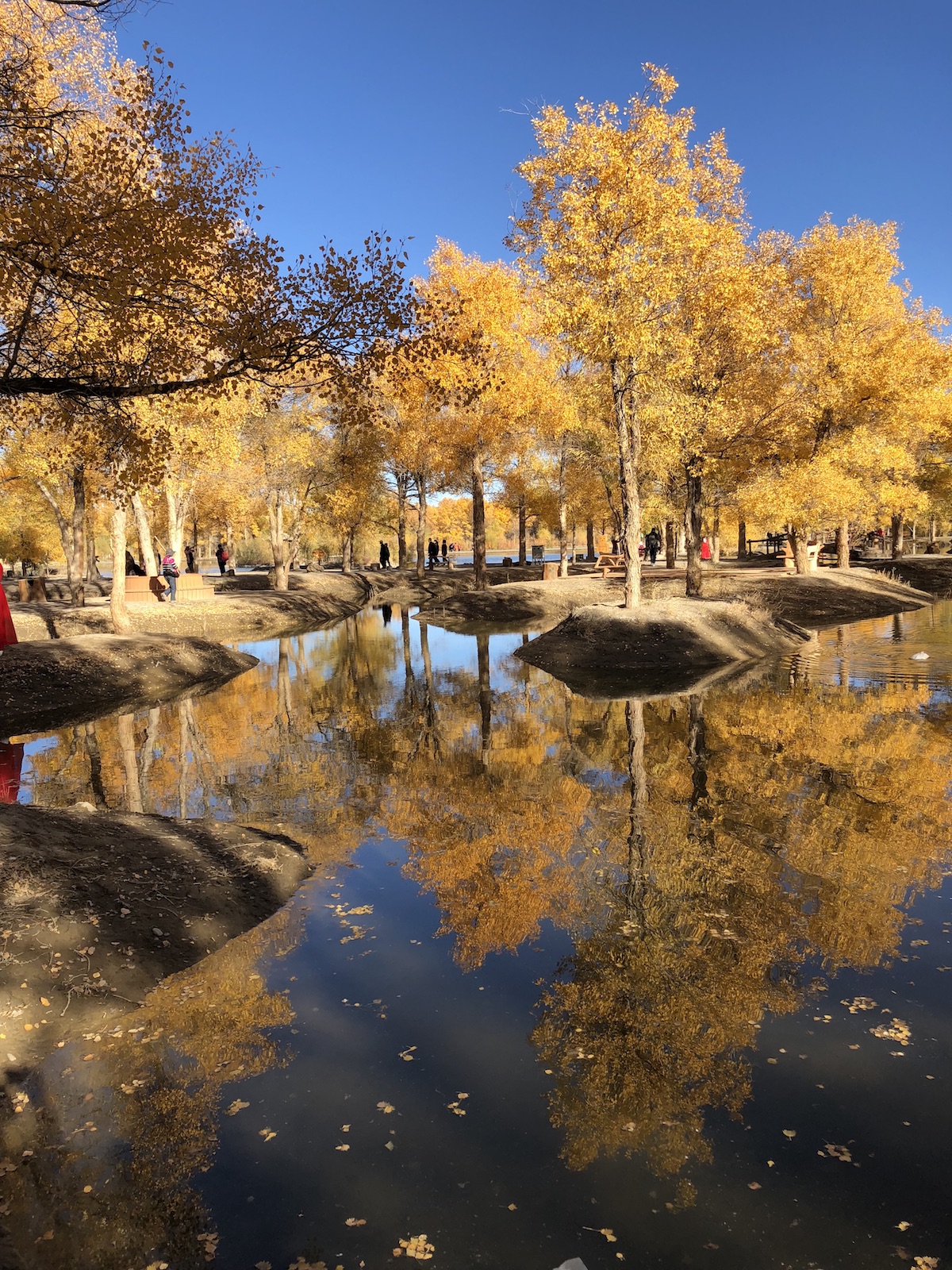 北京自驾额济纳胡杨林十天攻略,从北京到额济纳胡杨林线路