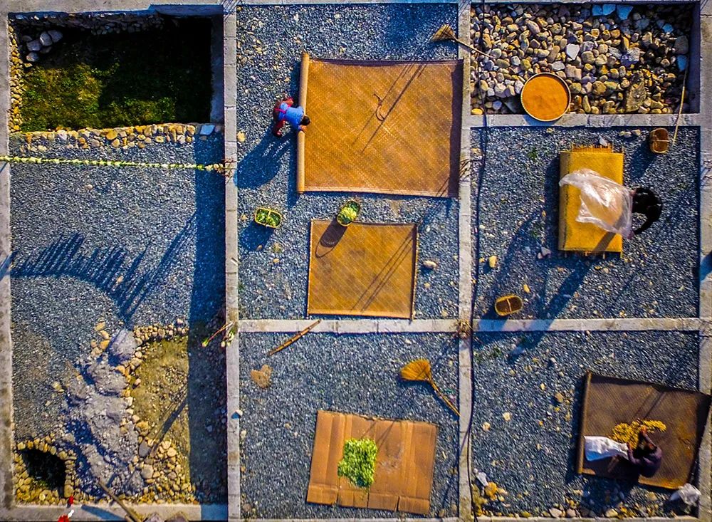 悬念揭晓在即,悬念揭晓视频