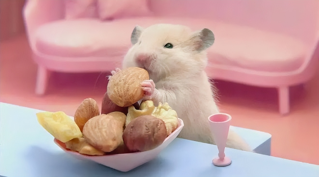 适合学生养的小型宠物100元以内,建议穷人养的10种小型宠物