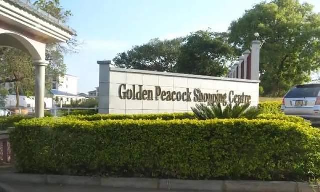 涓や竾澶氫腑鍥戒汉鍦ㄤ互鑹插垪宸ヤ綔,椹媺缁撮閮介┈鎷夌淮