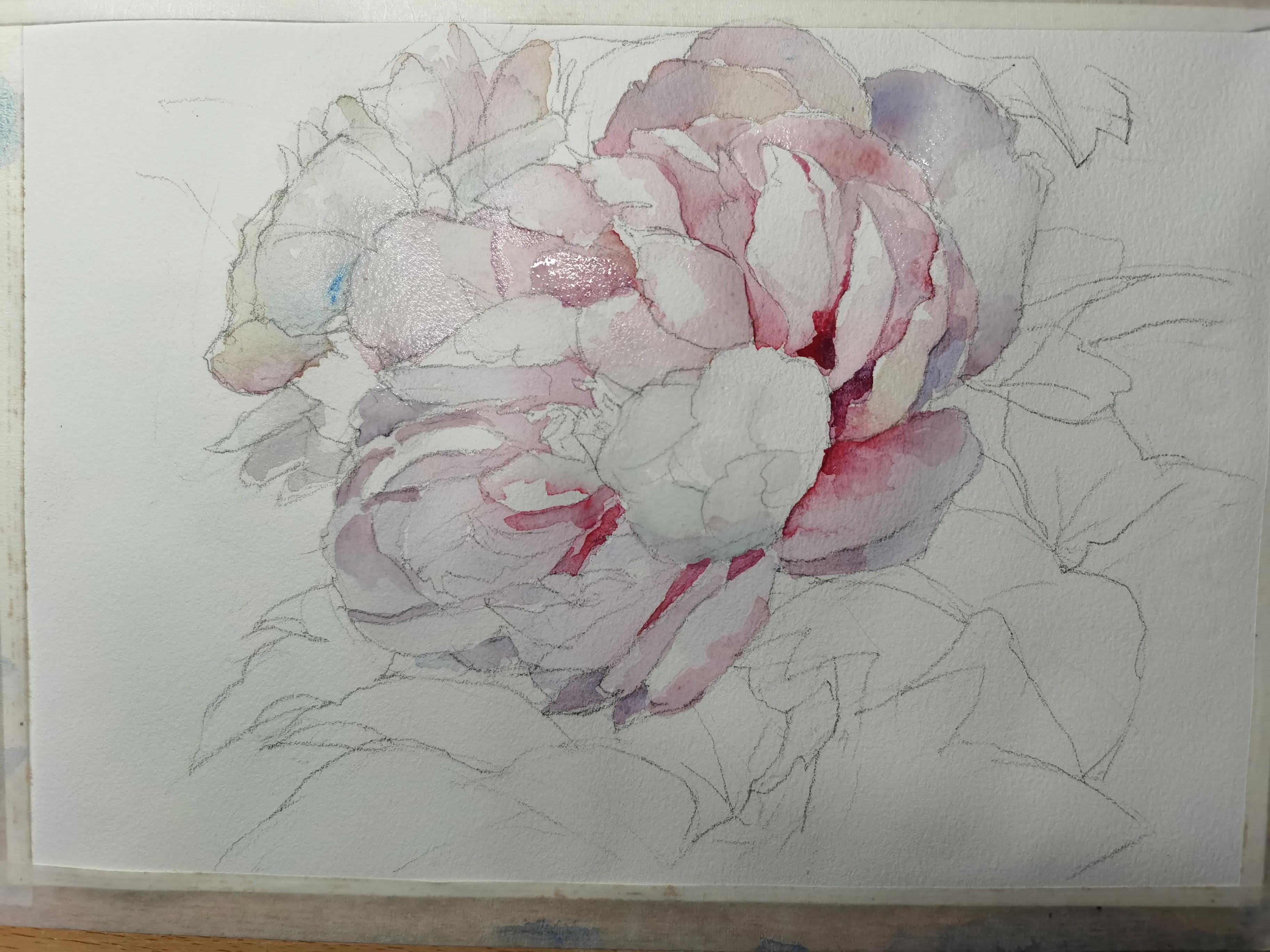 画怎样准确造型,画侧面的两种方法