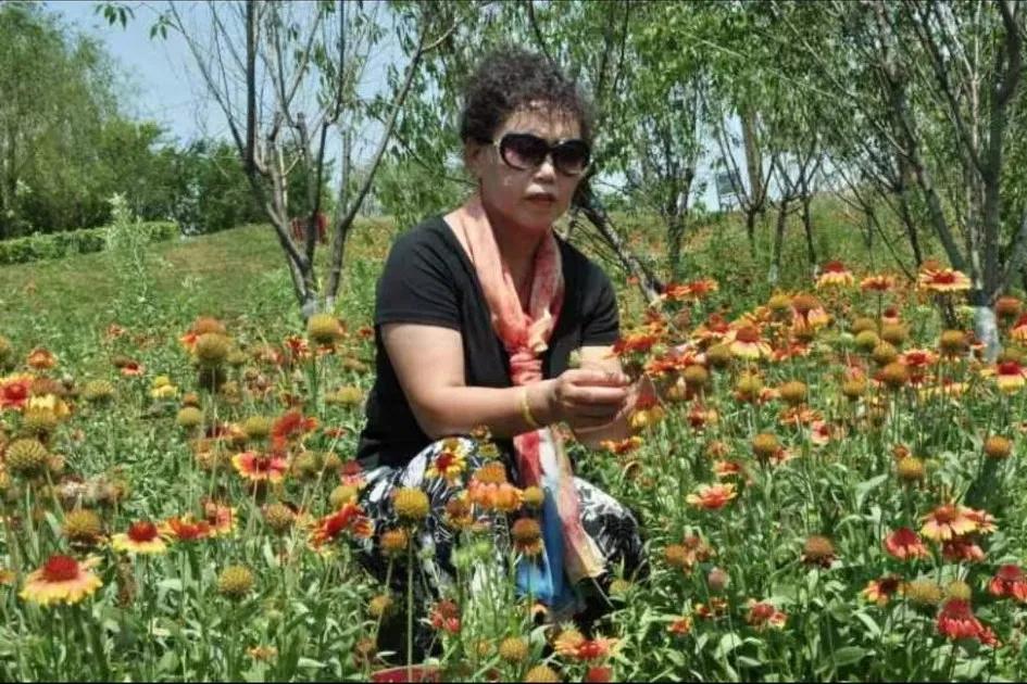 开心快乐群名大全,开心快乐群名怎么取