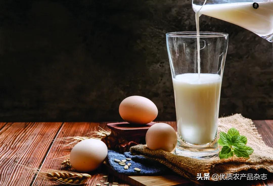 运动营养学怎么给自己配餐,怎么才能吃出强健的身体