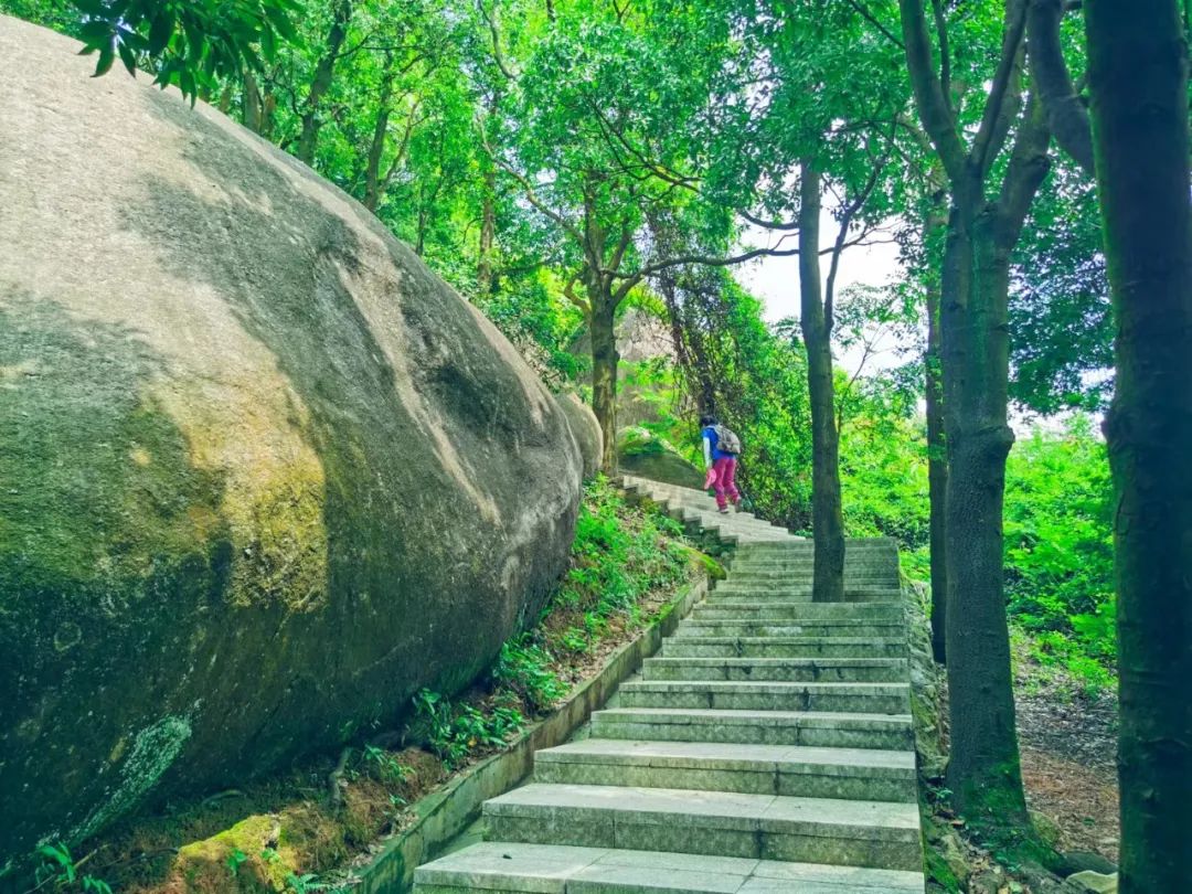 徒步登山我健康我快乐,广州火炉山爬山最佳地点