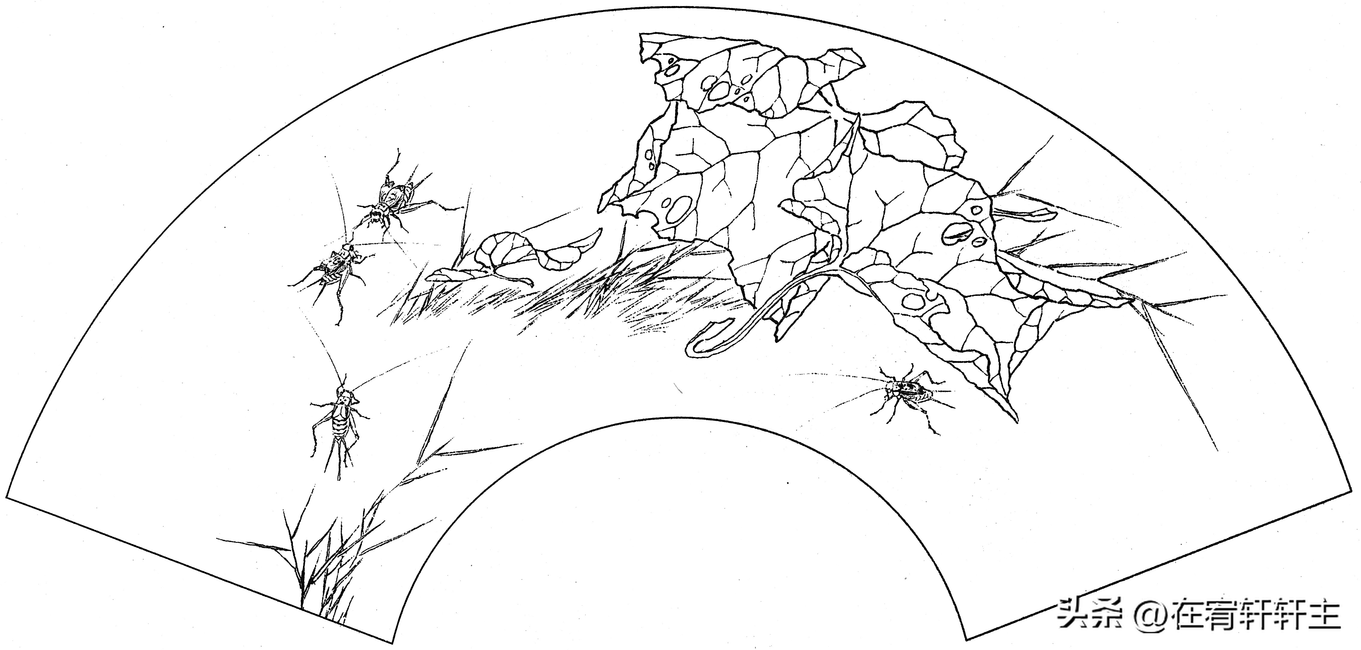 工笔白描祥云图案扇面,工笔扇面葡萄白描图片