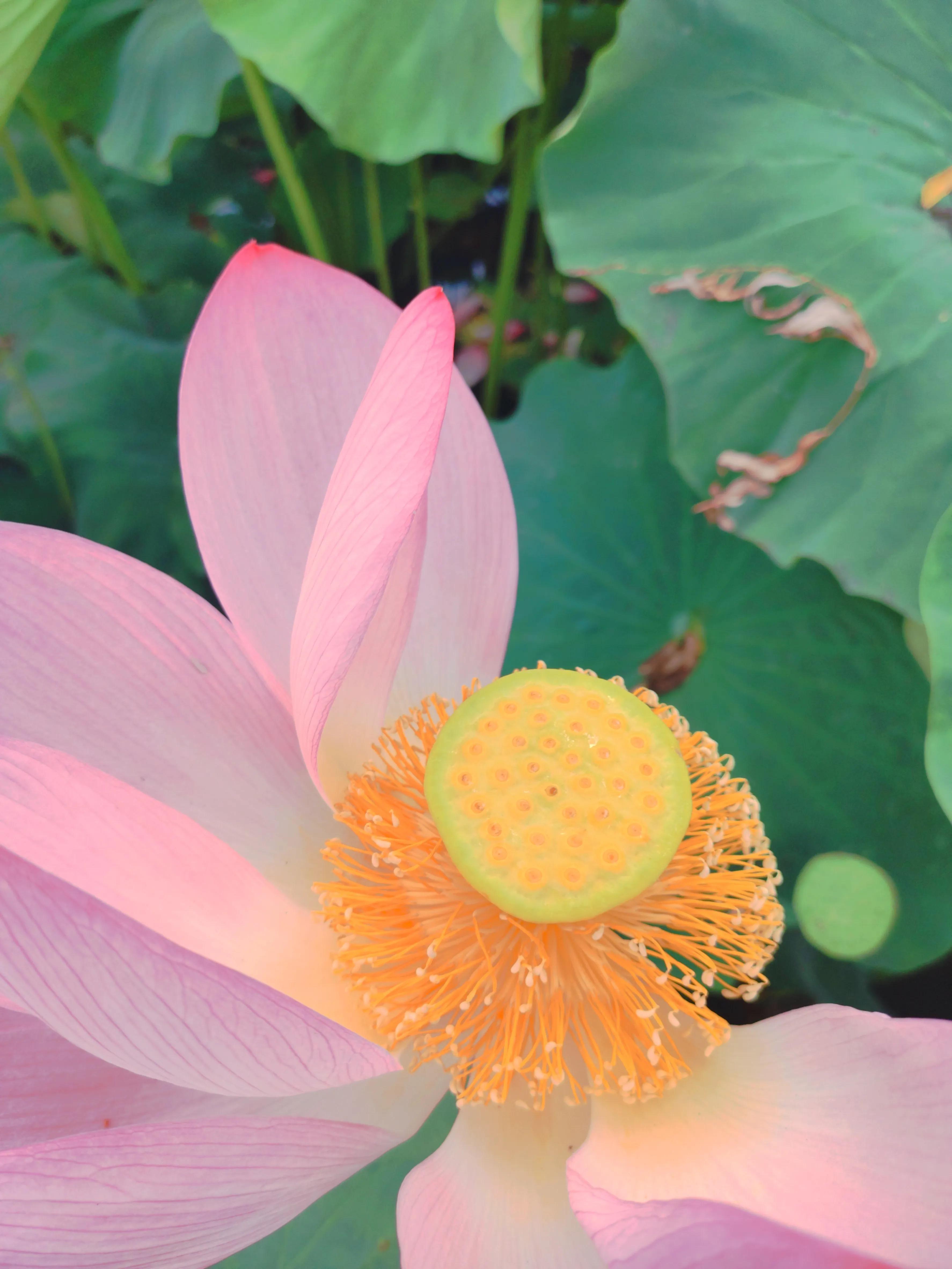 昆明周边一日游旅游景点,昆明旅游必去七大景点推荐