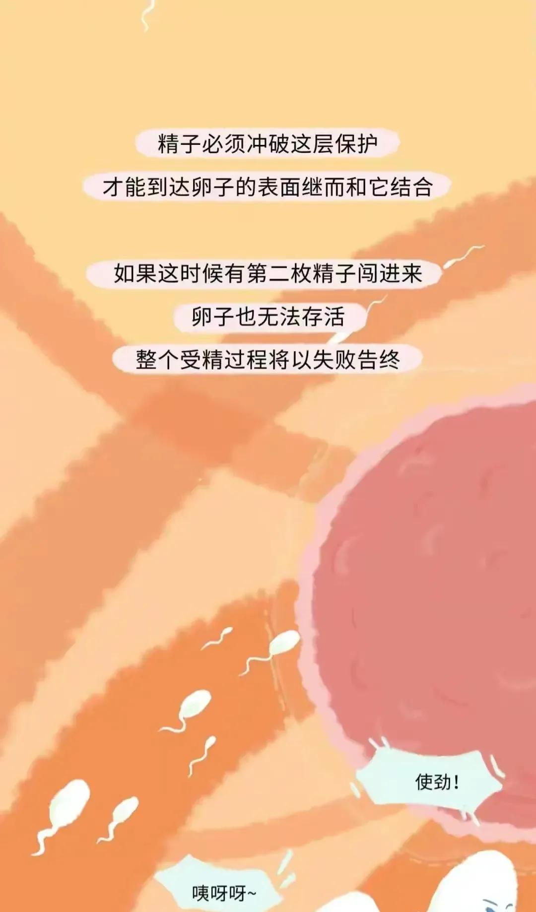 如何怀孕具体步骤图片,怎样才会怀孕简单的图片