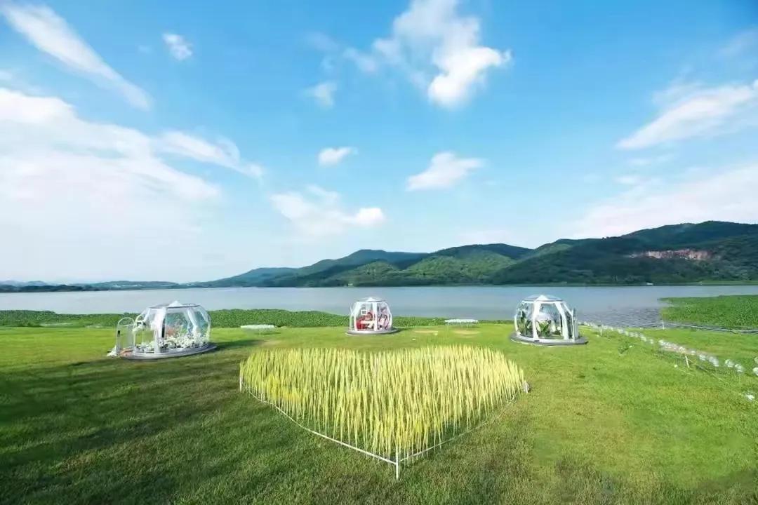 广州保利楼盘降价事件,广东楼市降价排行