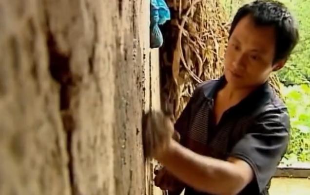 5岁男孩吃土,5岁男童吃土