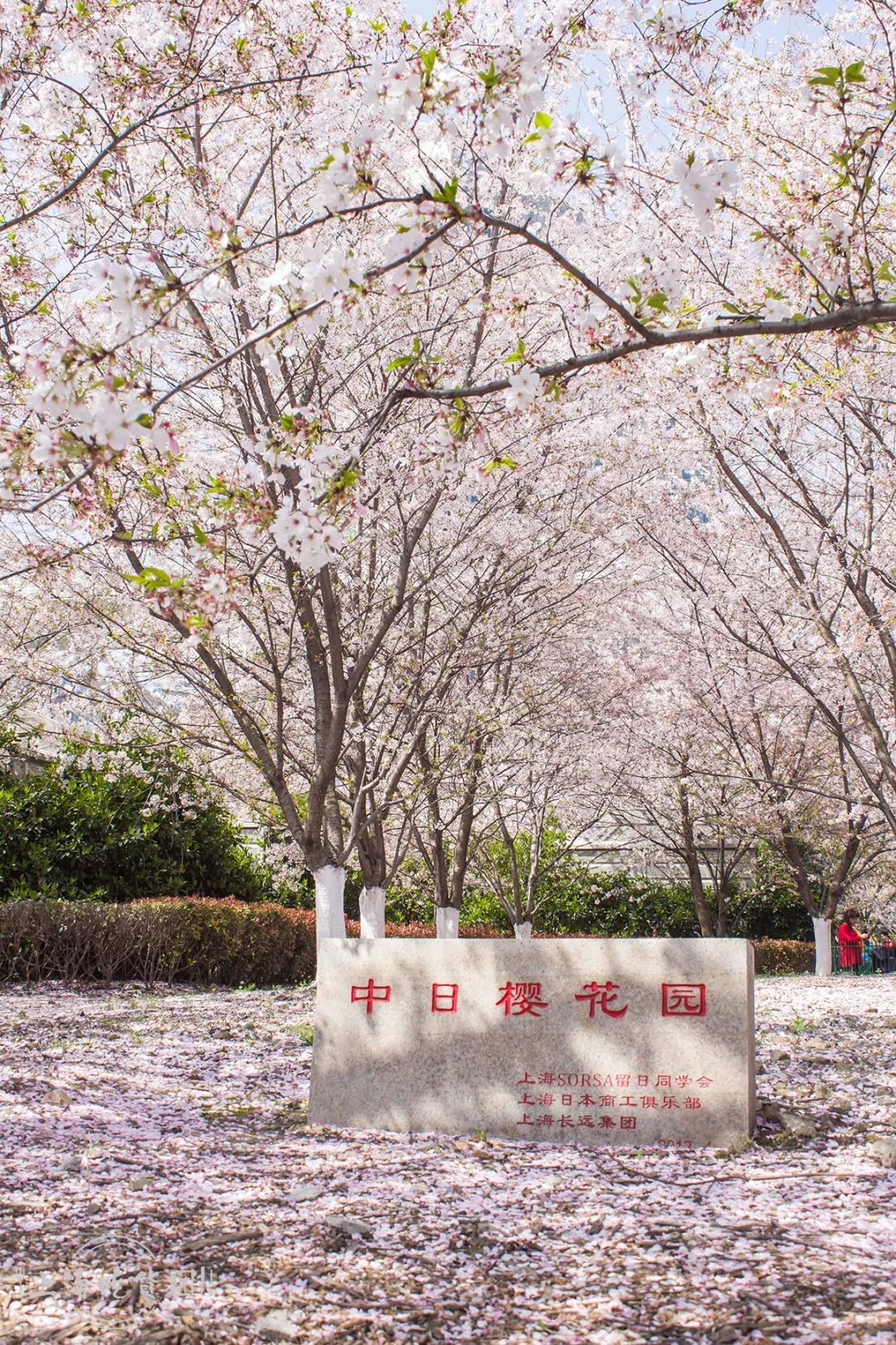 虹口体育场联赛,虹口体育场改造