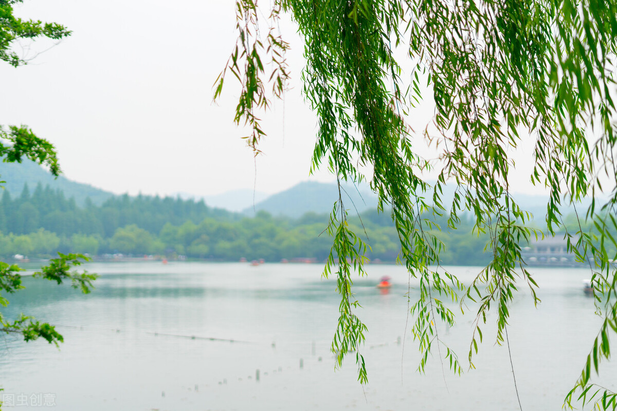 春天的遐想泰戈尔,春天的遐想纯音乐