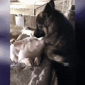 克林顿布什奥巴马合影,克林顿希拉里老照片