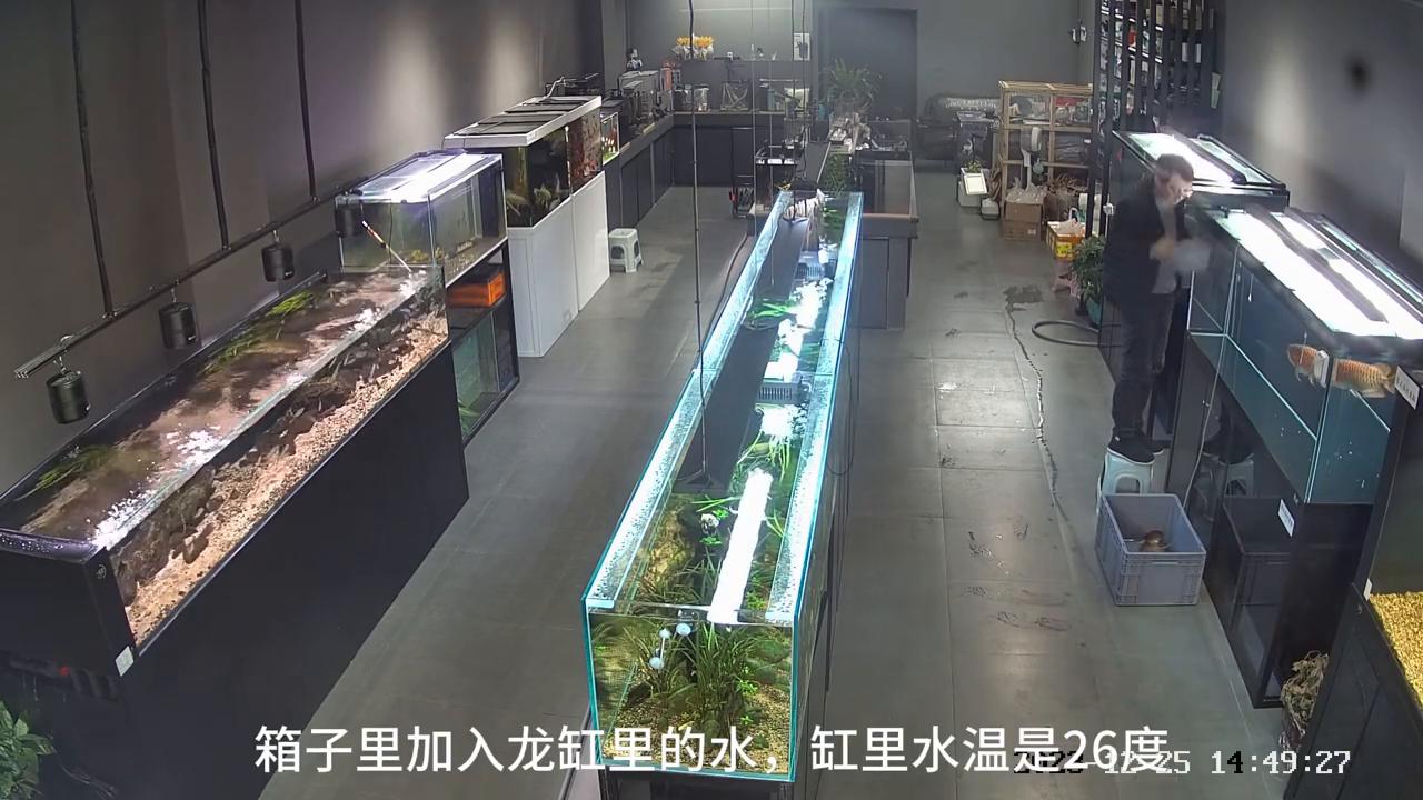 加热棒损坏导致鱼缸受损怎么赔,鱼缸加热棒故障维修视频