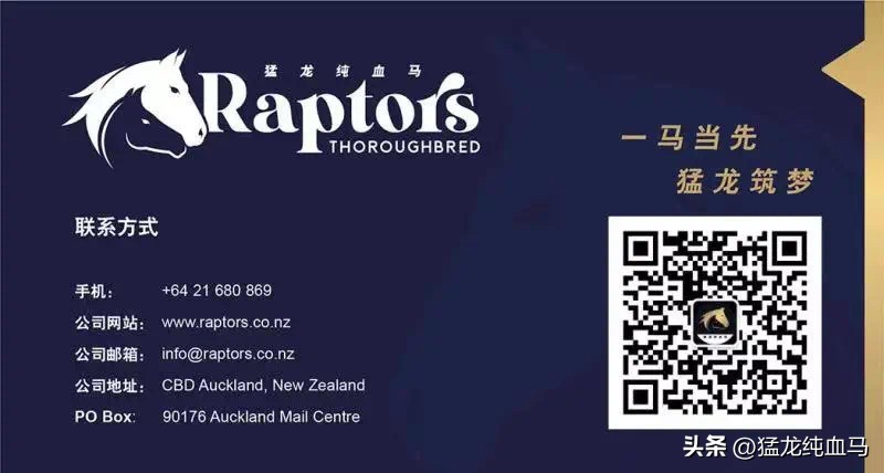 香港打吡现场新西兰賽驹的出色表现！